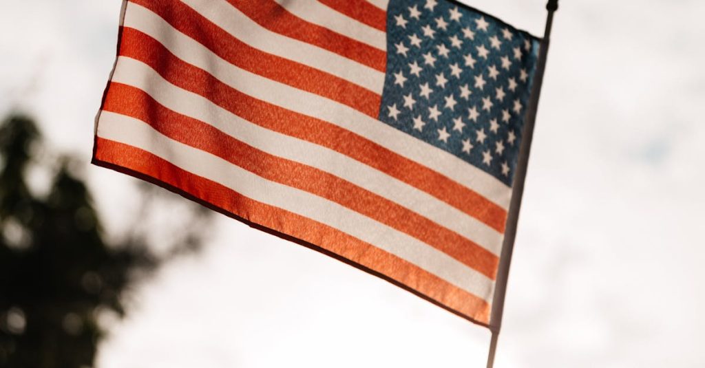 Low angle of crop faceless person holding spiky stick with flag of USA under cloudy sky and tree in back lit on blurred background to change a nation