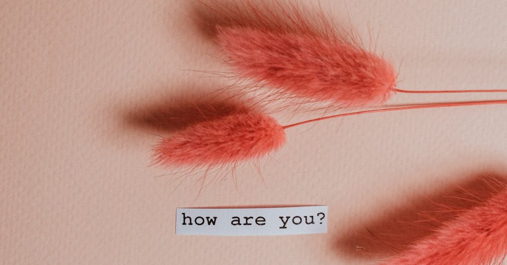 Pink lagurus stems with 'how are you?' text on pastel backdrop—warm, friendly vibe.